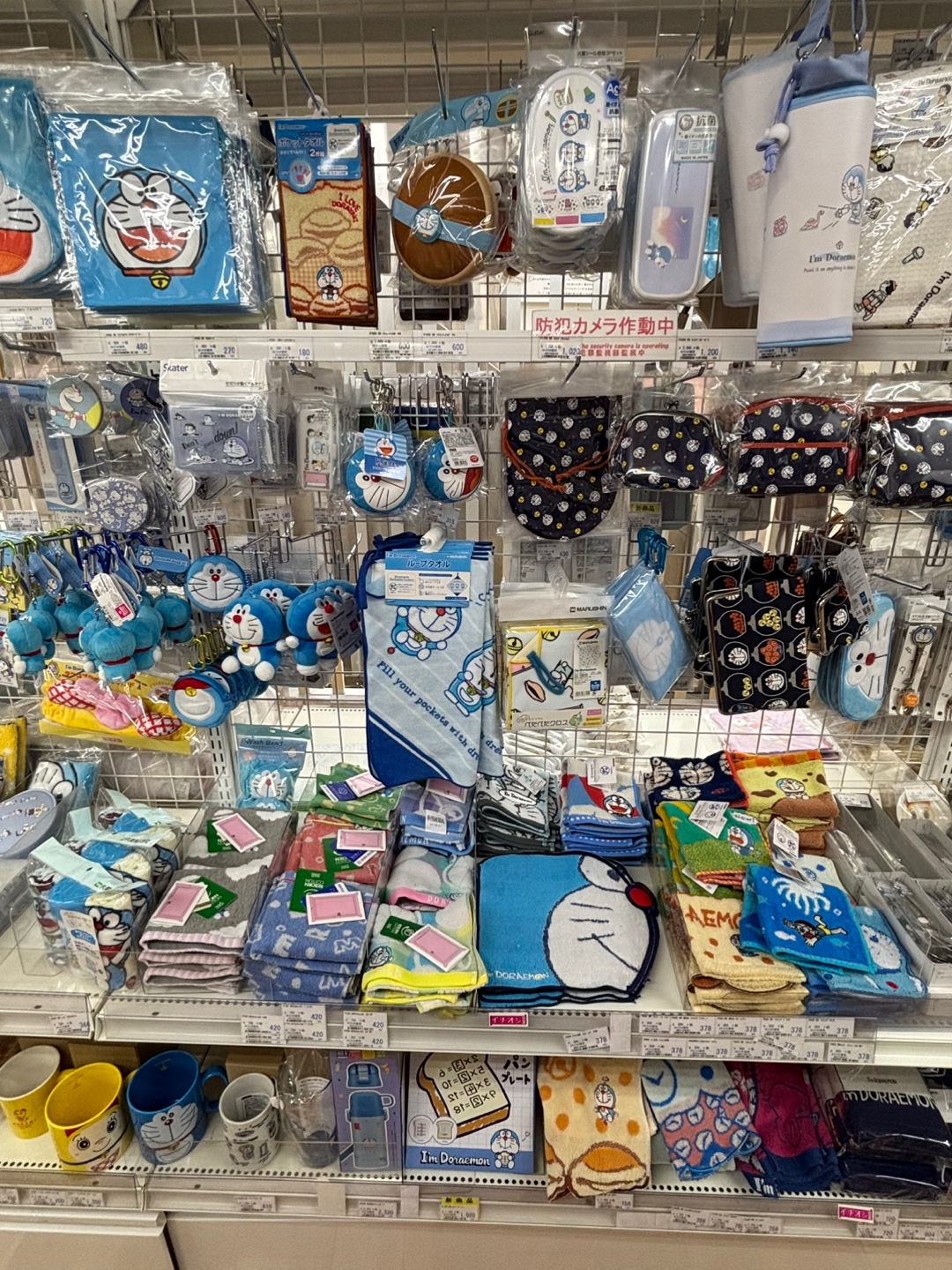 8193542e22a5bbe31ee3100c18df653e_1746756406_9207.jpg